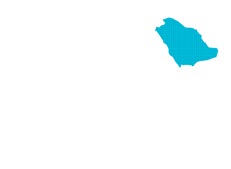 Saudi Arabia